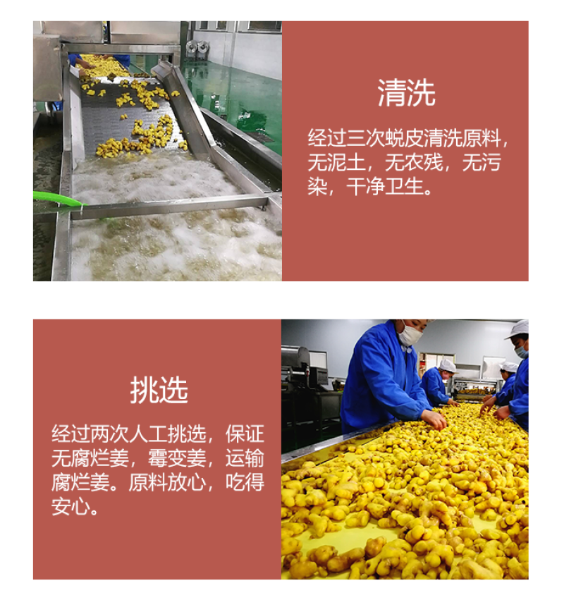 【热卖推荐】云南罗平精品纯姜粉源头厂家直发可线上订单
