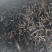 【精品推荐】云南古树红茶源头产地直发送礼优选