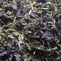 干紫苏叶食用野生紫苏叶干中药材紫苏叶茶紫苏叶粉泡茶紫苏小