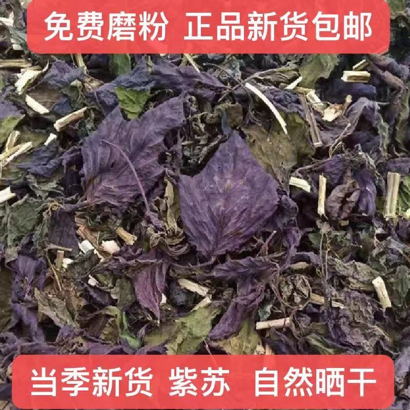 干紫苏叶食用野生紫苏叶干中药材紫苏叶茶紫苏叶粉泡茶紫苏小