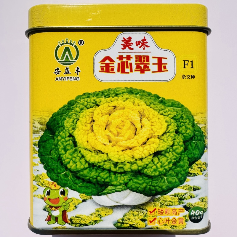 美味金芯翠玉黄心乌塌菜种子秋季耐寒蔬菜菊花菜种子黄芯乌