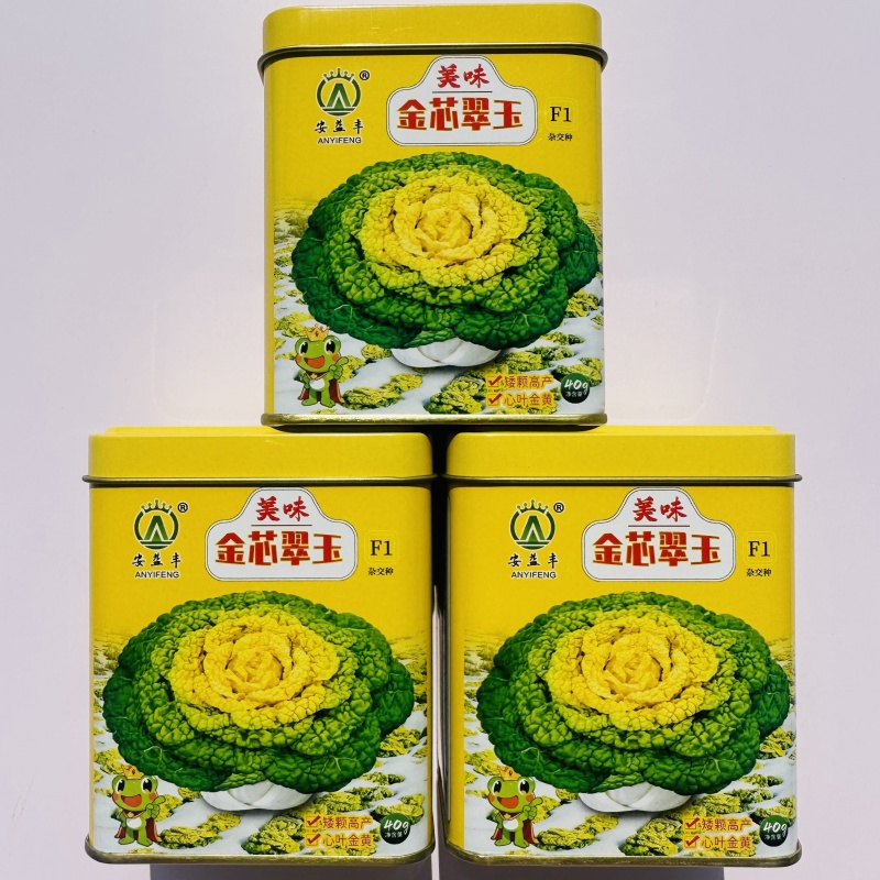 美味金芯翠玉黄心乌塌菜种子秋季耐寒蔬菜菊花菜种子黄芯乌