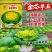 美味金芯翠玉黄心乌塌菜种子秋季耐寒蔬菜菊花菜种子黄芯乌