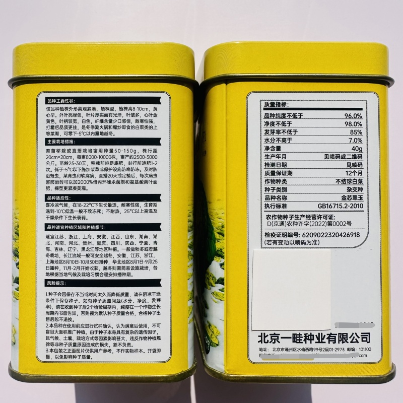 美味金芯翠玉黄心乌塌菜种子秋季耐寒蔬菜菊花菜种子黄芯乌