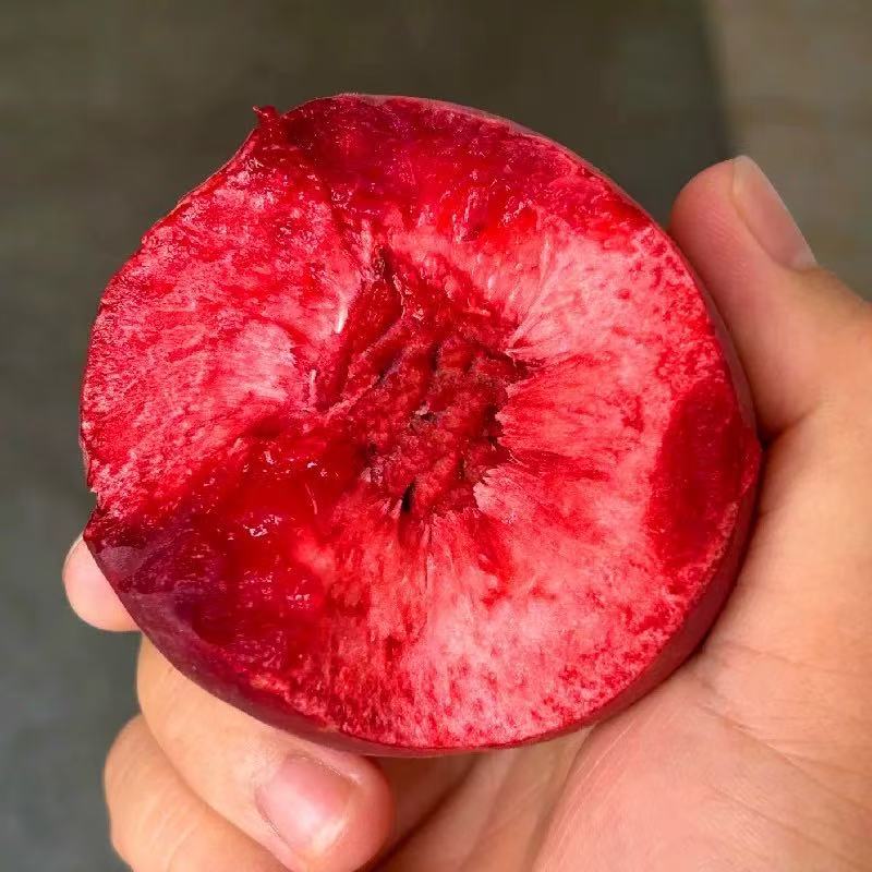 血桃，朱砂红桃，支持一件代发，产地大量供应，代办