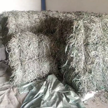 【优质推荐】中药材淡竹叶大量有货量大从优运费可协商