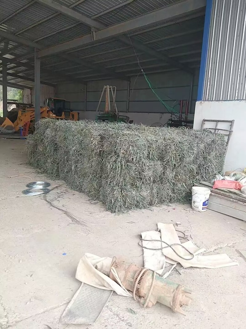 【优质推荐】中药材淡竹叶大量有货量大从优运费可协商