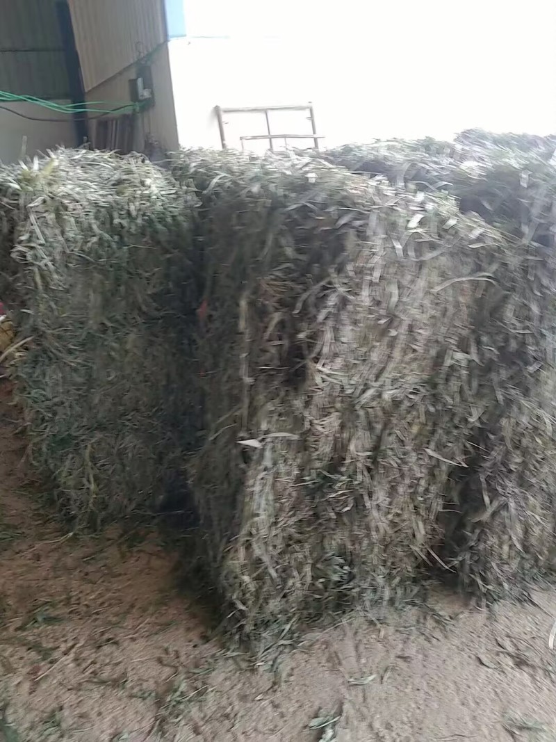 【优质推荐】中药材淡竹叶大量有货量大从优运费可协商