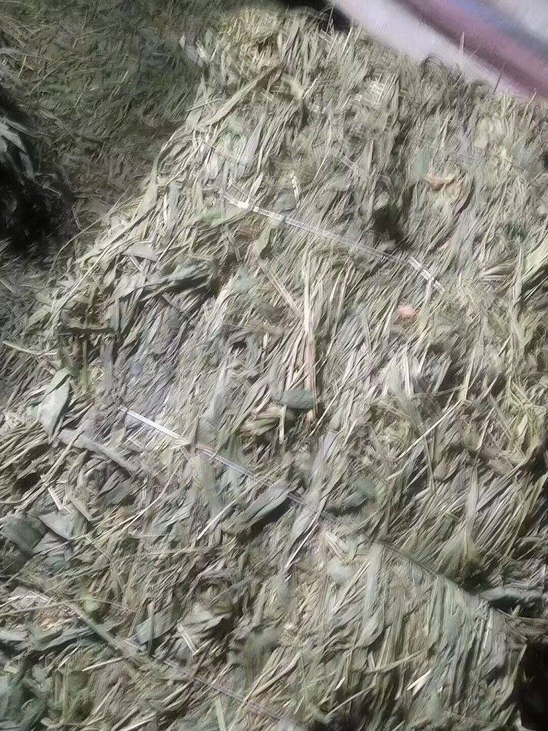 【优质推荐】中药材淡竹叶大量有货量大从优运费可协商
