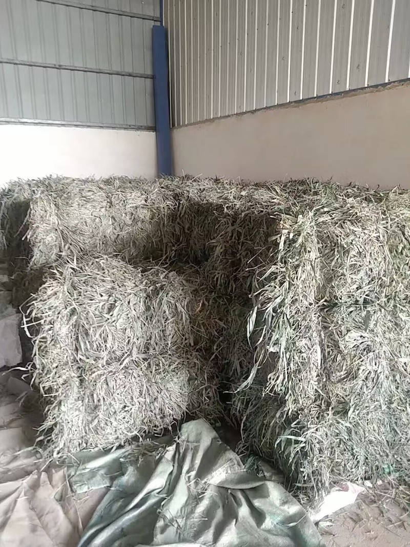 【优质推荐】中药材淡竹叶大量有货量大从优运费可协商