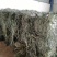 【优质推荐】中药材淡竹叶大量有货量大从优运费可协商