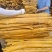 【优质推荐】黄柏树皮大量有货量大从优价格运费可聊