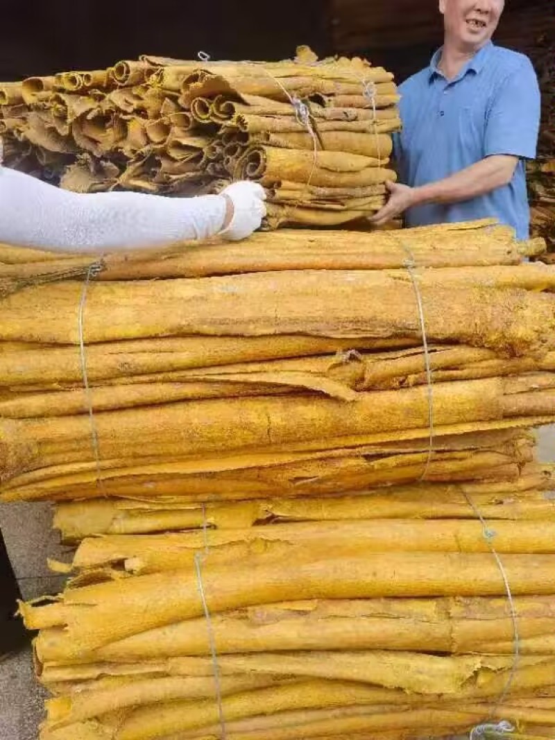 【优质推荐】黄柏树皮大量有货量大从优价格运费可聊