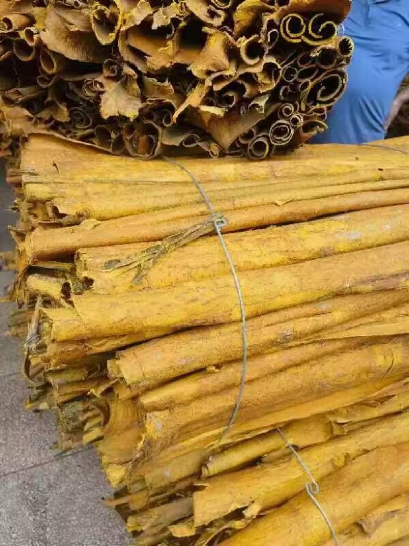 【优质推荐】黄柏树皮大量有货量大从优价格运费可聊