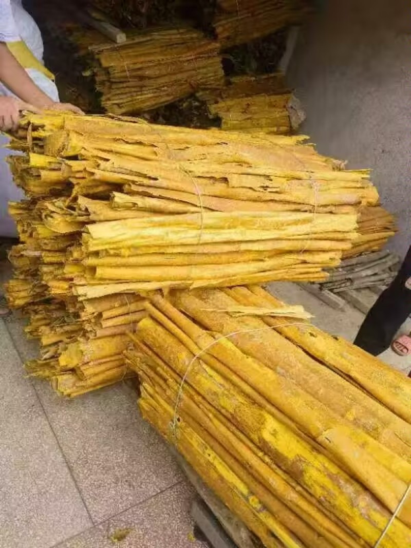 【优质推荐】黄柏树皮大量有货量大从优价格运费可聊