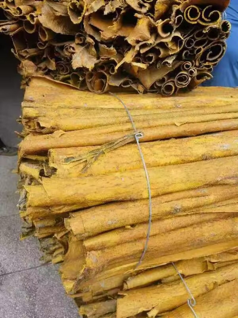 【优质推荐】黄柏树皮大量有货量大从优价格运费可聊