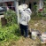 自家50年大山土蜂蜜