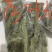 荷叶尖