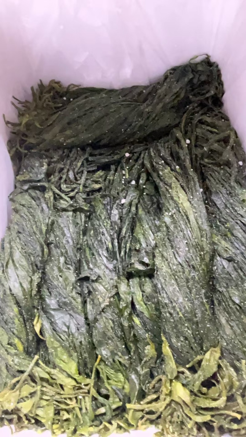 福建海嫩苗，海带芽产地直发品质保证一手货源量大从优