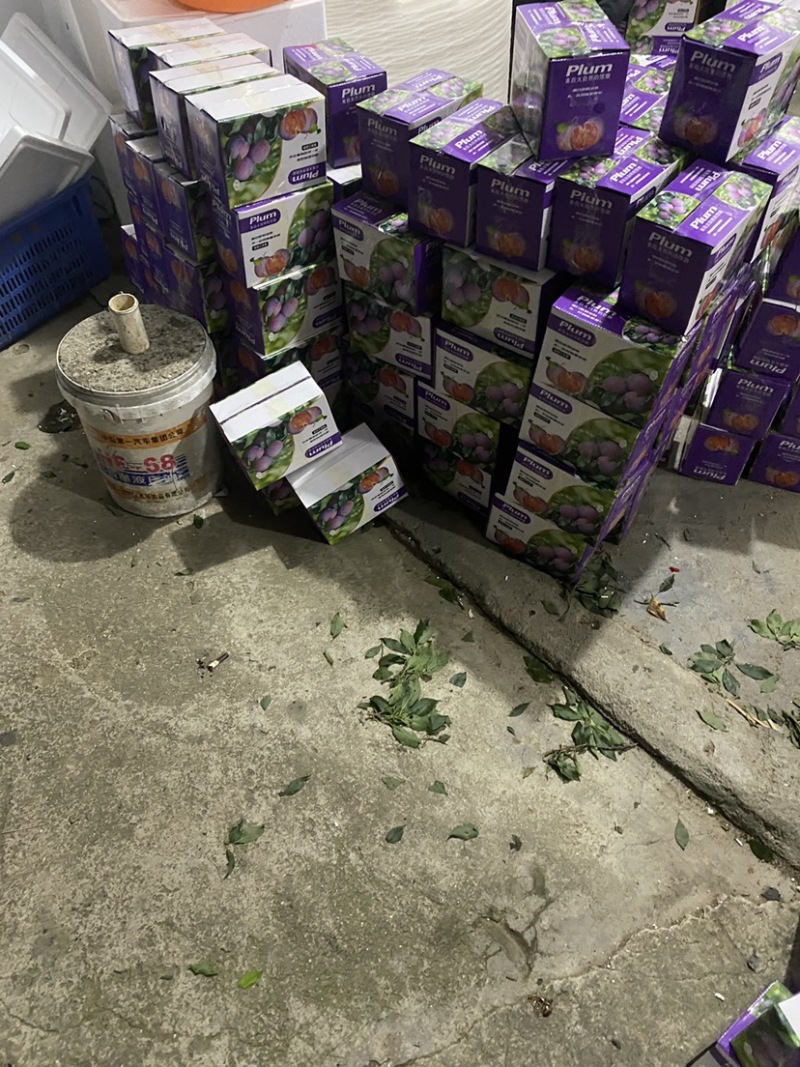 电商果大量上市钱排各种包装都有需要直接联系