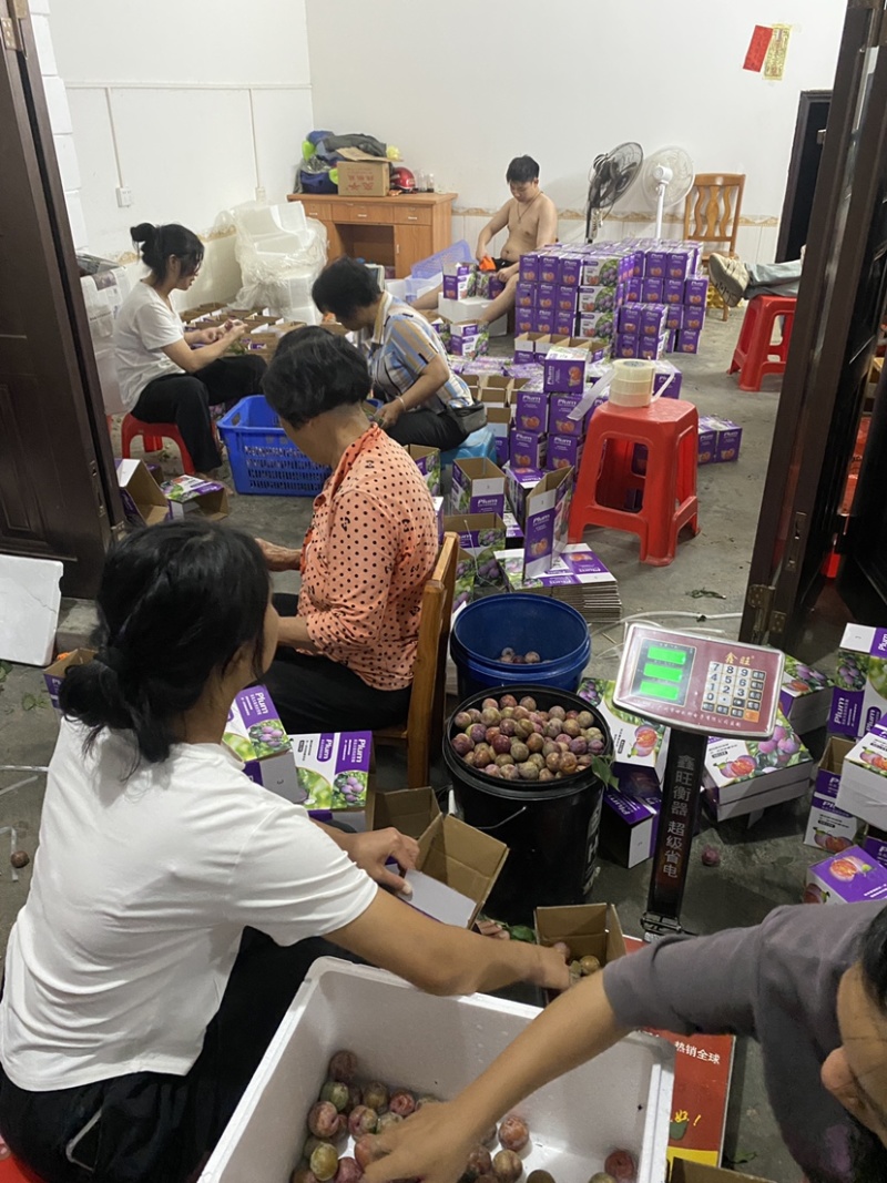 电商果大量上市钱排各种包装都有需要直接联系