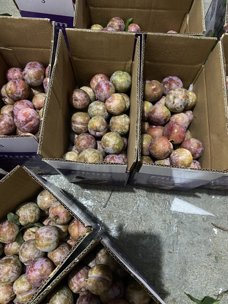 电商果大量上市钱排各种包装都有需要直接联系