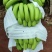 香蕉