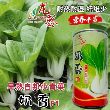 龙盛奶香白邦小青菜种子奶油小白菜种籽耐热耐湿四季菜种籽优