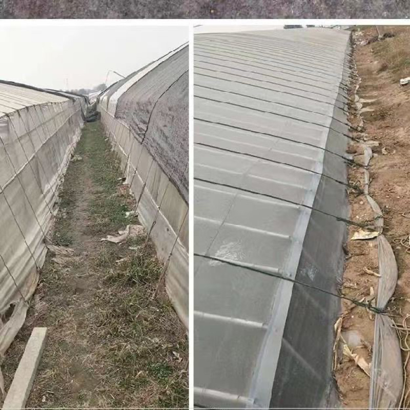 新型地锚加粗钢丝地锚防锈耐腐蚀高强度绞线钢大棚地锚