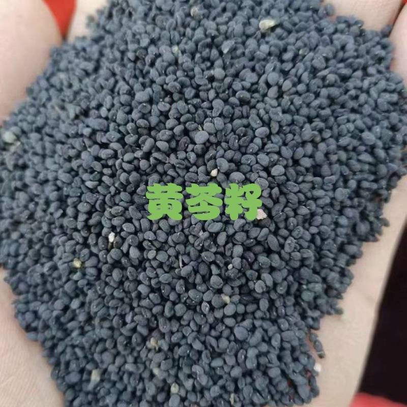 纯新精品