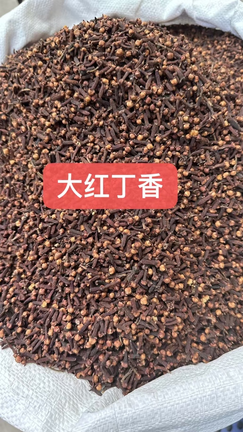 丁香公丁香