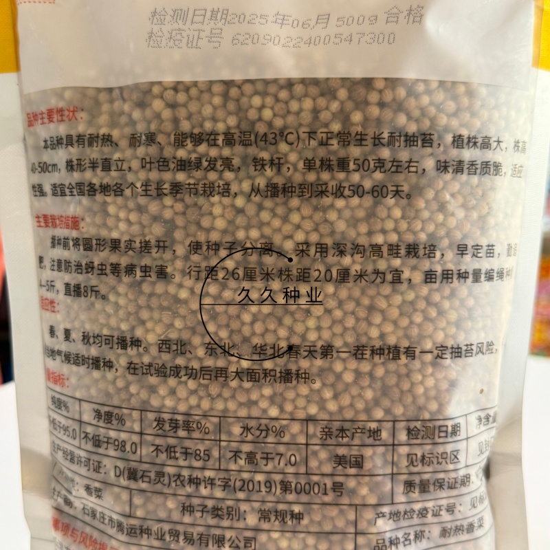 腾运美国耐热香菜种子500g四季耐热耐寒铁杆油面大叶香菜