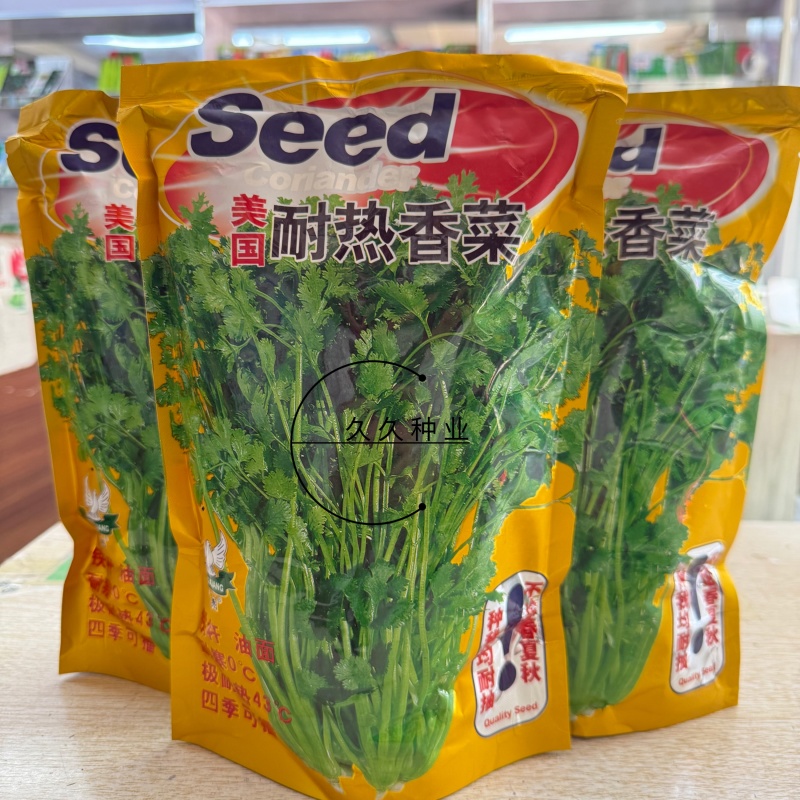 腾运美国耐热香菜种子500g四季耐热耐寒铁杆油面大叶香菜