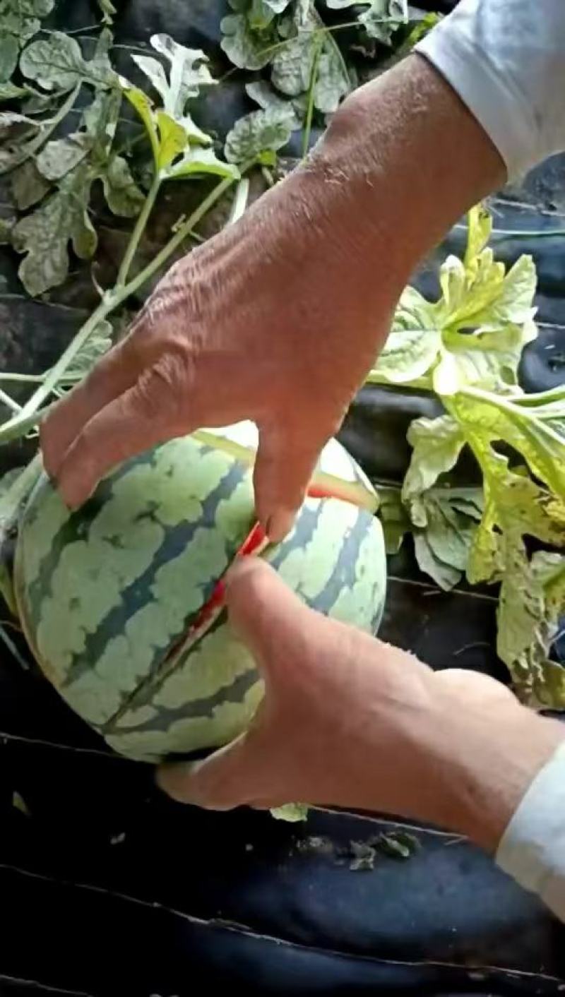 美都西瓜！产地直发！精品包装！保质保量！欢迎砸单