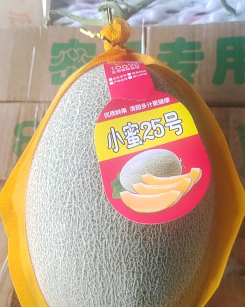 山东晓密25