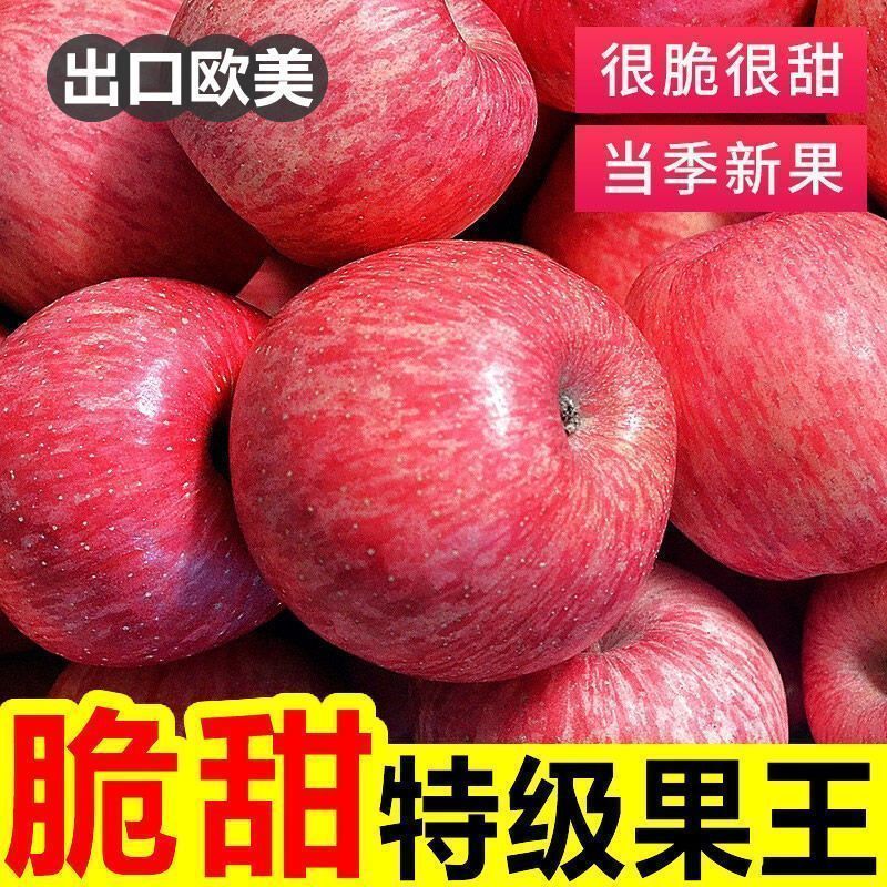 【清库存】山东红富士苹果，产地供应【电商、市场、食堂】