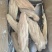 干冰带皮巴沙鱼柳，100/200