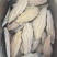 干冰带皮巴沙鱼柳，100/200