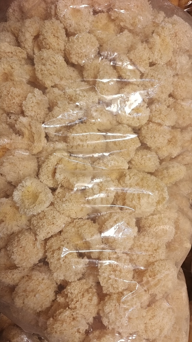 椴木银耳银耳椴木小银耳各种规格齐全电商货源软糯