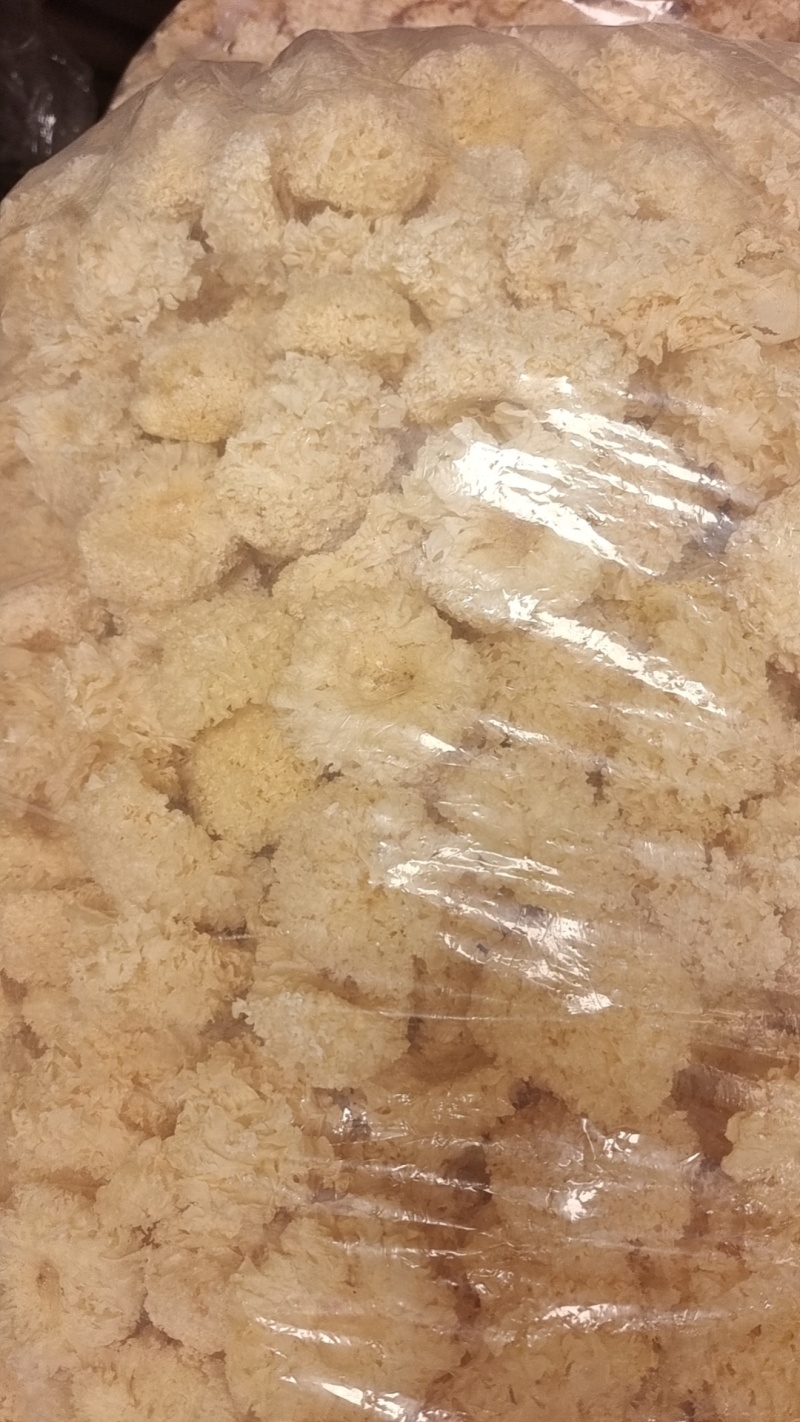 椴木银耳银耳椴木小银耳各种规格齐全电商货源软糯