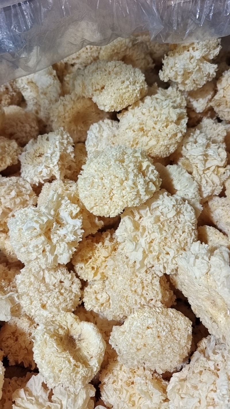 椴木银耳银耳椴木小银耳各种规格齐全电商货源软糯