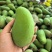 大青芒精品芒果一件代发对接各大电商网红直播带货