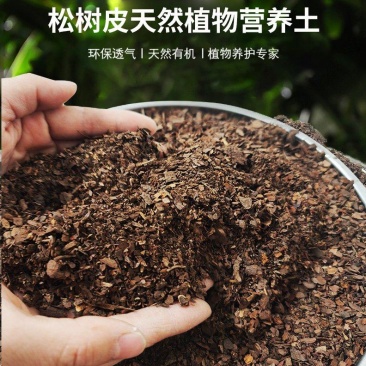 广东直供松树皮育苗基质发酵松树皮松鳞营养土实地考察