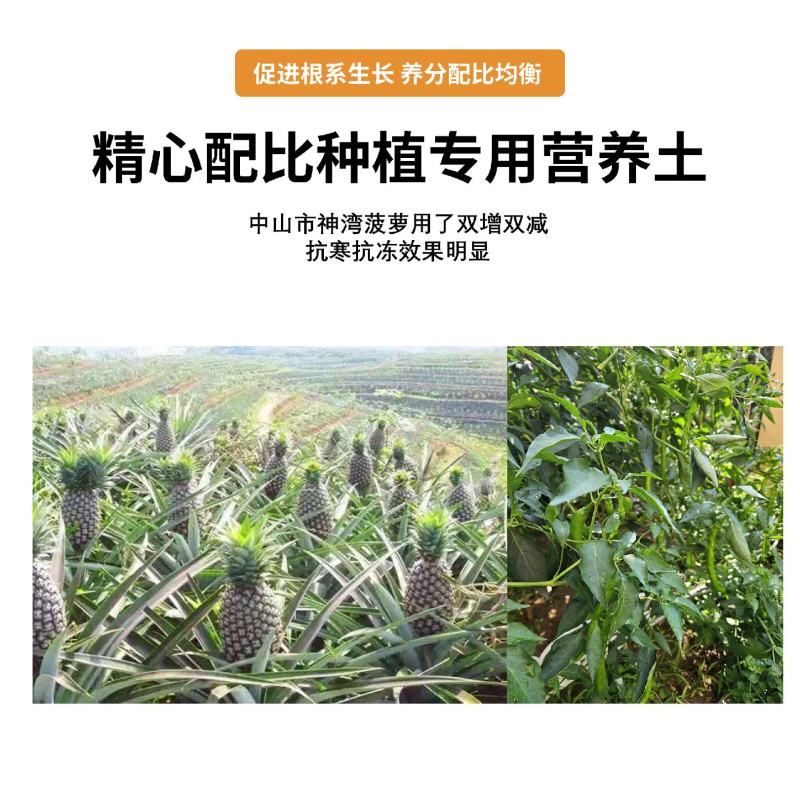 广东直供松树皮育苗基质发酵松树皮松鳞营养土实地考察