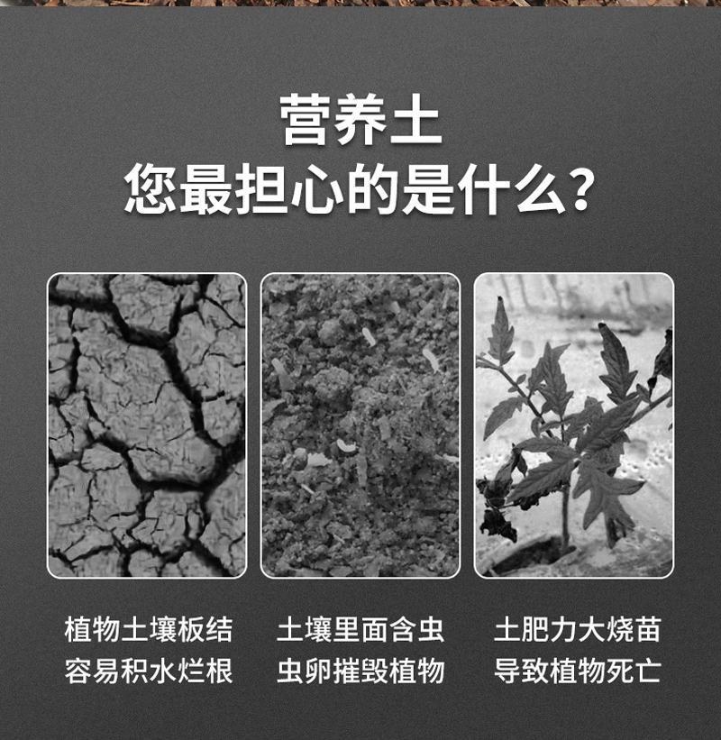 广东直供松树皮育苗基质发酵松树皮松鳞营养土实地考察