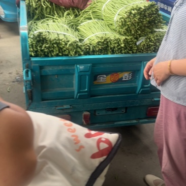 长豆角