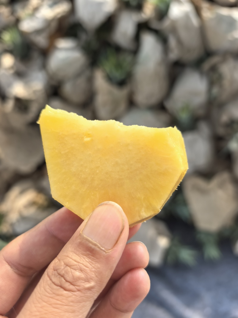 钻石凤梨