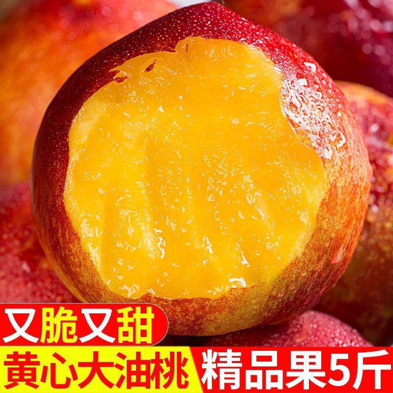山东露天油桃，味来1号，品种多多，产地直达