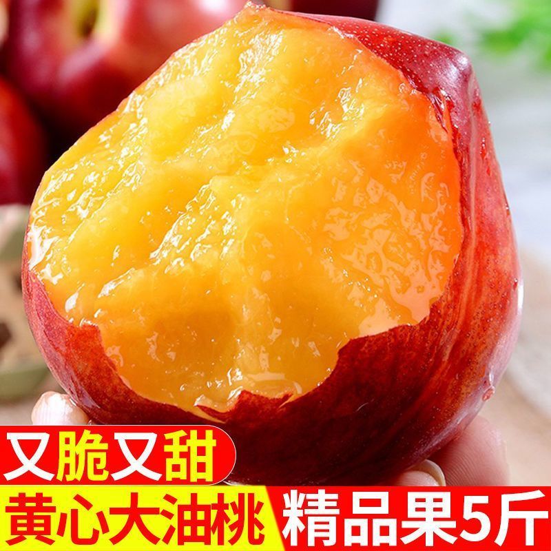 山东露天油桃，味来1号，品种多多，产地直达