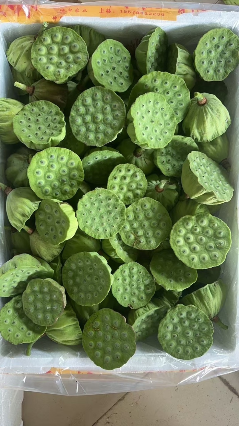 价格是增加曝光率，品质才是合作的基石。莲子全品类都有货